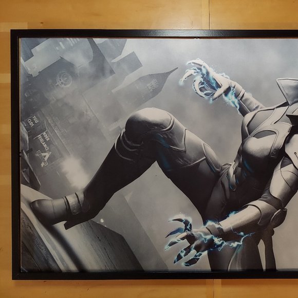 Arkham Catwoman silk canvas Fabric Poster (36" x 24") - Picture 2 of 3